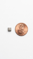 Picture of Rectangular Magnet - 3/16" x 3/16" x 1/16" (5x5x2mm)