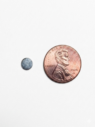 Picture of Round Magnet -  1/4" X 3/64" (6mm x 1.5mm)